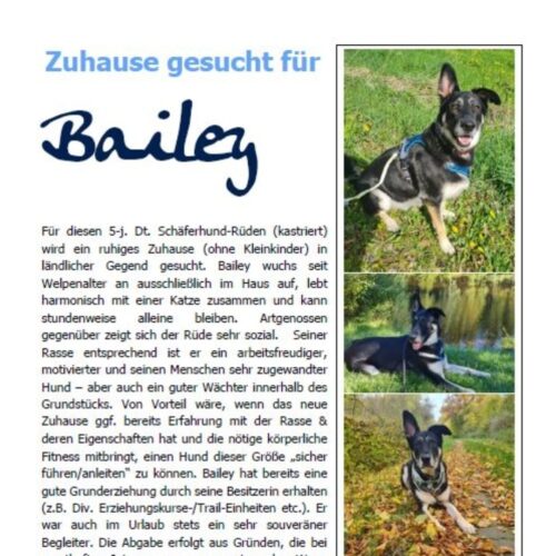 vermittlungshilfe_bailey